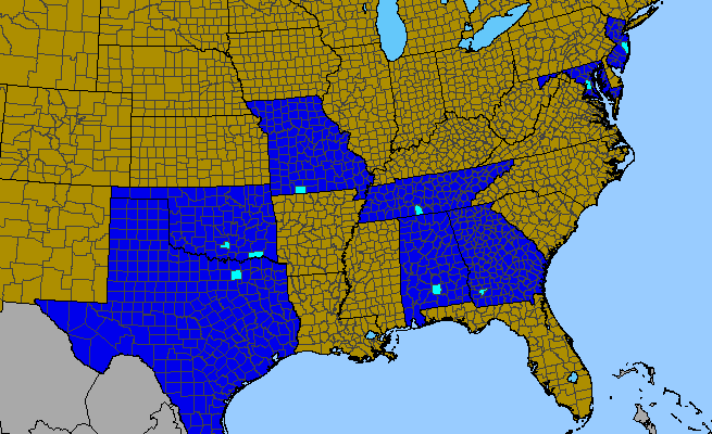 The range of Jasminum nudiflorum